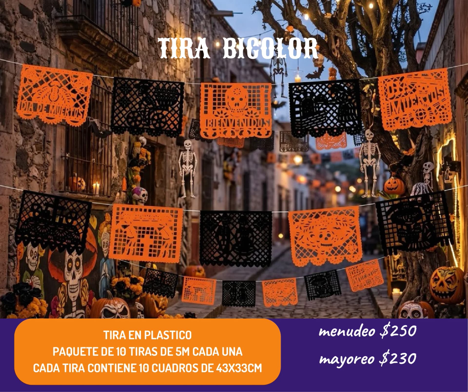 Tira Bicolor - Día de Muertos (Plastico) - Catálogo VIP