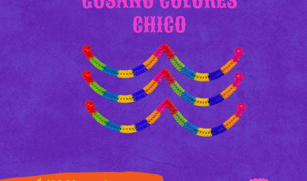 Gusano Colores - Día de Muertos (Papel China) | Papel Picado DecorameC Huixcolotla Puebla Gusano Colores - Día de Muertos (Papel China) - Diseño - Papel Picado Artesanal DecorameC